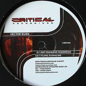 Not Promised Tomorrow / Flame Surfacing