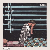 Fool