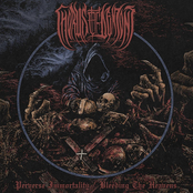 Perverse Immortality / Bleeding The Heavens