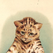 In Tribute to Louis Wain