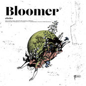 Bloomer: Circles