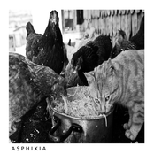 ASPHIXIA