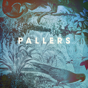 Come Rain, Come Sunshine by Pallers