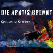 Die Arktis brennt
