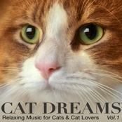 CAT DREAMS - Relaxing Music for Cats & Cat Lovers VoL.1