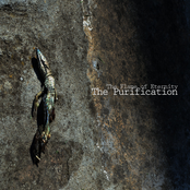 The Purification