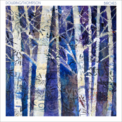 Birches
