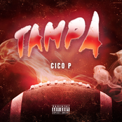Cico P: Tampa