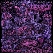 Live Rot in the Czech Republic