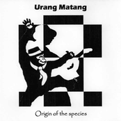 origin of the species