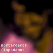 Flopadamos