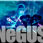 negus