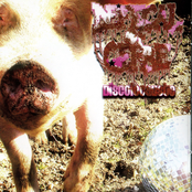 Ebanath / Defecal Of Gerbe / Vulvulator / :Tremor - 4 Way split CD