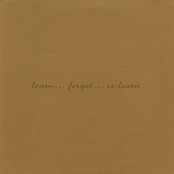 Learn... Forget... Re-learn