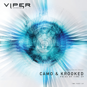 Feel Your Pulse by Camo & Krooked