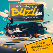 Ao Vivo no Buzu 2.0