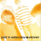The Sweetest Sugar by Paint In Watercolour