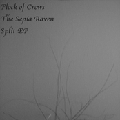 Flock of Crows/The Sepia Raven Split EP