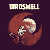 birdsmell