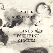 Affricate Consonants by Peder Mannerfelt