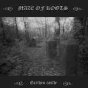 Earthen Castle by Maze Of Roots