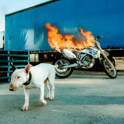 The Lonesomes: Black & Blue