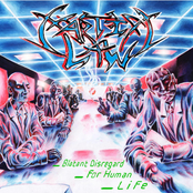 Blatant Disregard For Human Life