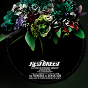 A Little Bit Of Bitterness