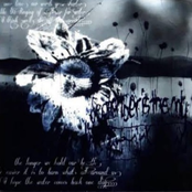 Hopefully Alone - Single