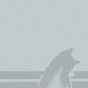 All Cats are Grey by Night