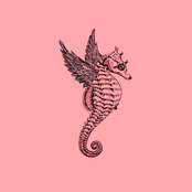 All Apologies / Rape Me