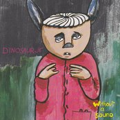 Dinosaur Jr.: Without a Sound