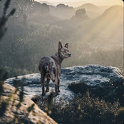 You Better Watch Your Step