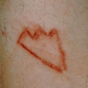 Members Only, Vol. 2