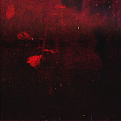 Plma - Single