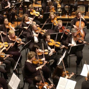 new philharmonic orchestra