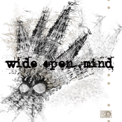 wide open mind