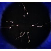 You'll Never Answer / Me Dejaste