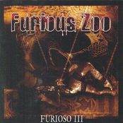 Needle In The Groove by Furious Zoo