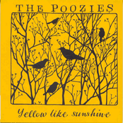 Black Eyed Susan by The Poozies