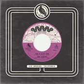 Where Did He Come From