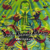 Afro Soul Knows by Jaribu Afrobeat Arkestra