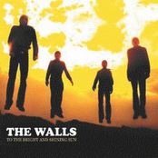 To the Bright and Shining Sun (single from 'NDB' album)