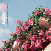 Only Way To Play Is All In