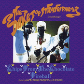 The Mole From The Ministry by The Dukes Of Stratosphear