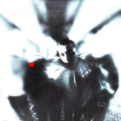 In Color: Is There Anyone?