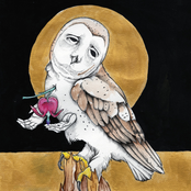Farewell Transmission b​/​w The Dark Don't Hide It