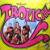 Sonora Tropical