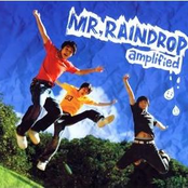 Mr. Raindrop
