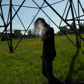 David Fincher - Single